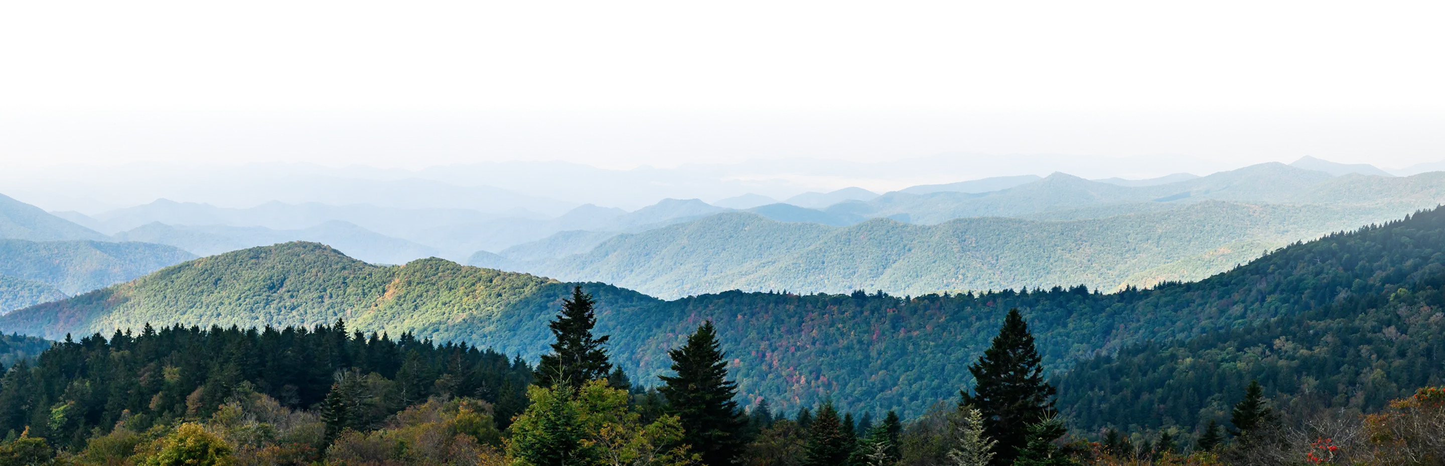 BG