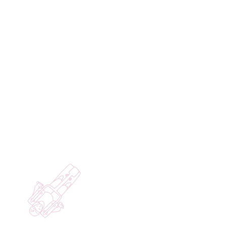 Curves可爾姿
