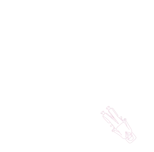 Curves可爾姿